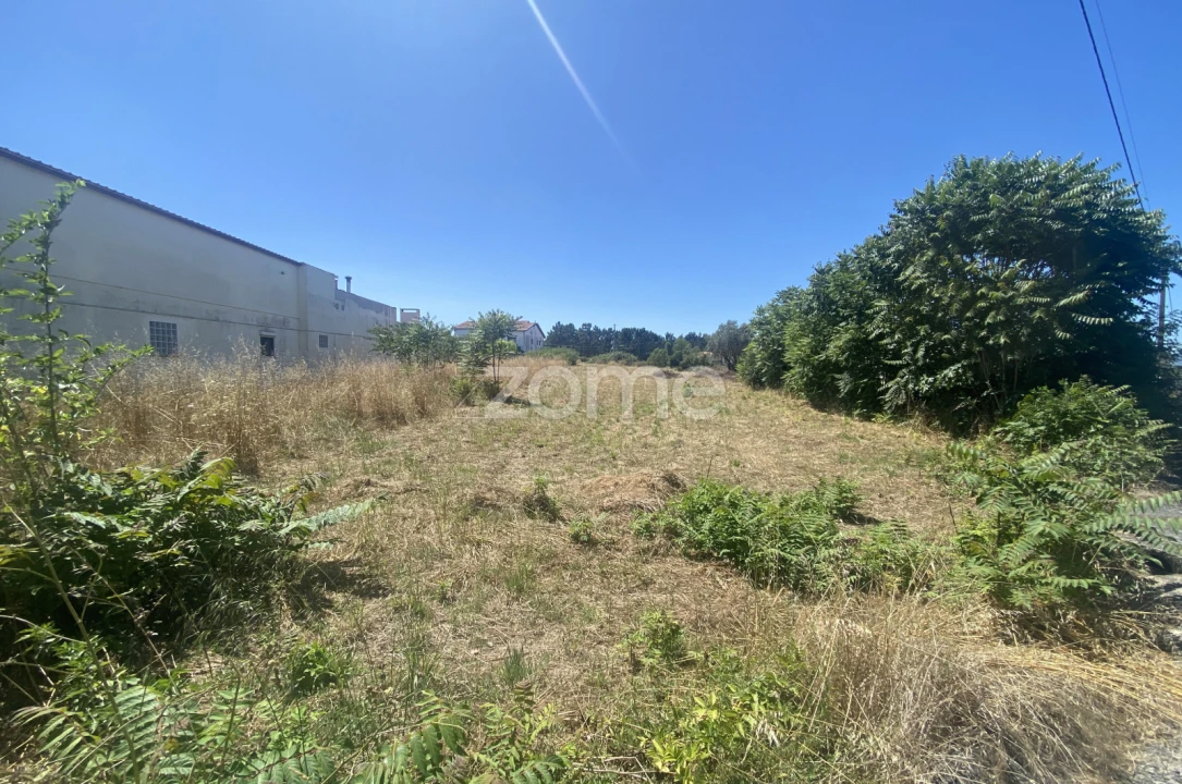 Terreno para Venda em Lavos Foto 2