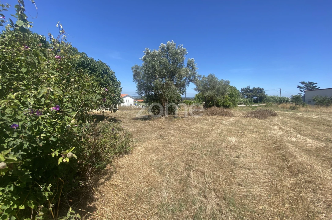 Terreno para Venda em Lavos Foto 1