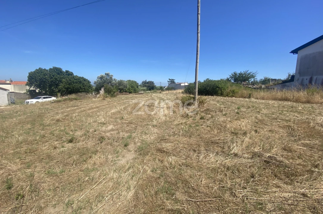 Terreno para Venda em Lavos Foto 5