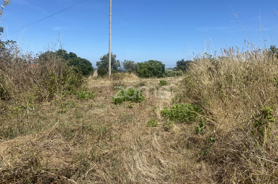 Terreno para Venda em Lavos Foto 9