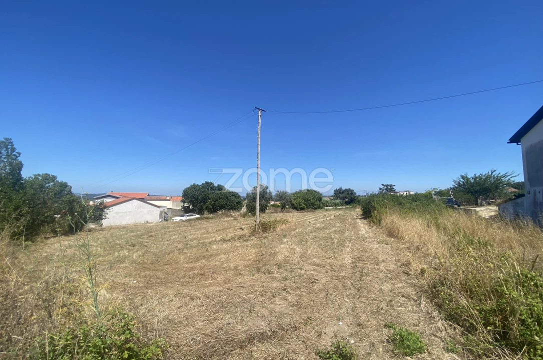 Terreno para Venda em Lavos Foto 10