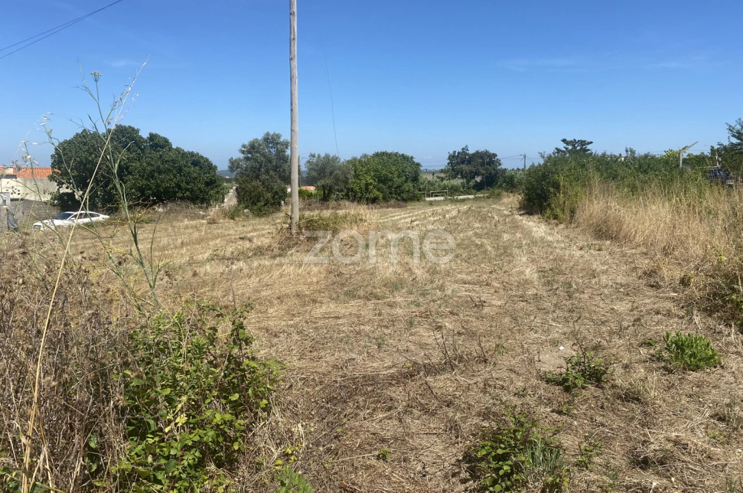 Terreno para Venda em Lavos Foto 11