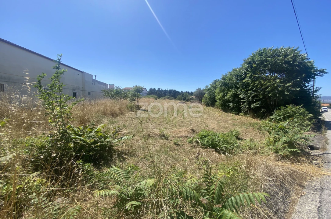Terreno para Venda em Lavos Foto 13