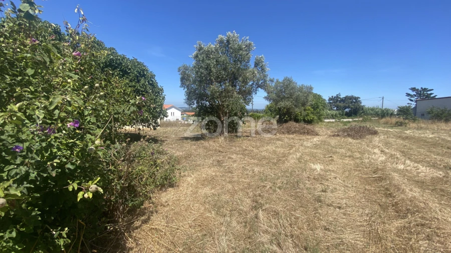 Terreno para Venda em Lavos