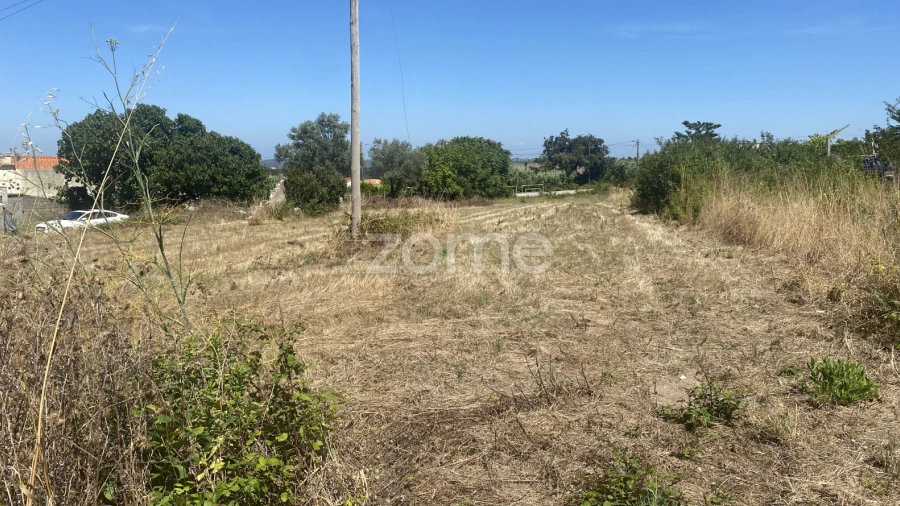 Terreno para Venda em Lavos
