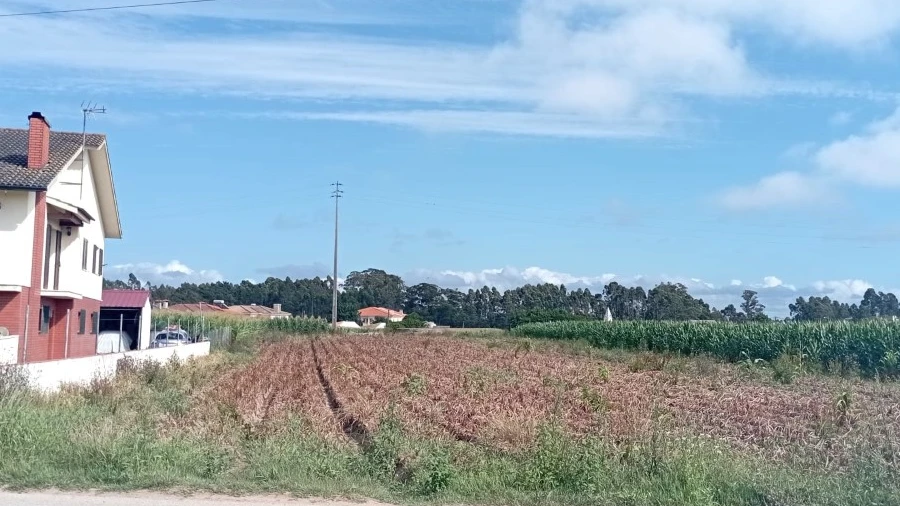 Terreno para Venda em Oliveirinha