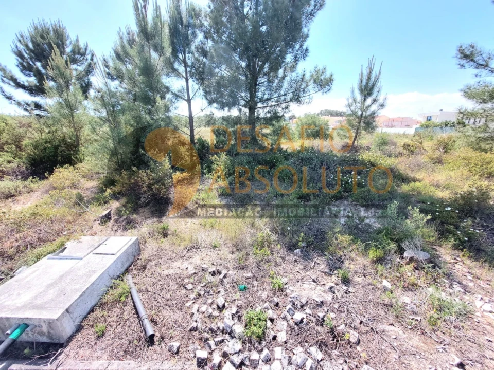 Terreno para Venda em Quinta do Conde Foto 5