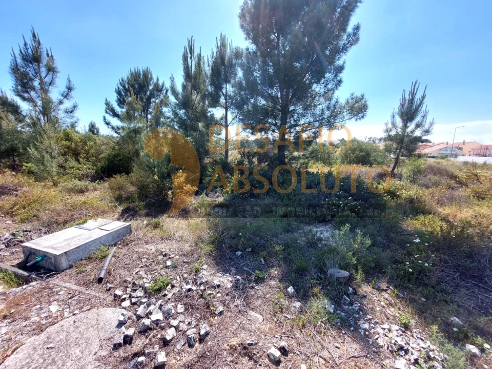 Terreno para Venda em Quinta do Conde Foto 3