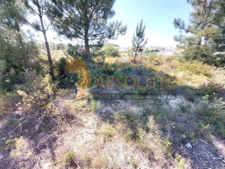 Terreno para Venda em Quinta do Conde Foto 1