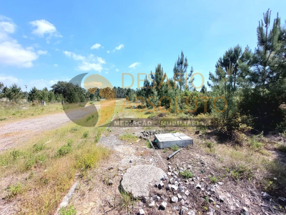 Terreno para Venda em Quinta do Conde Foto 4