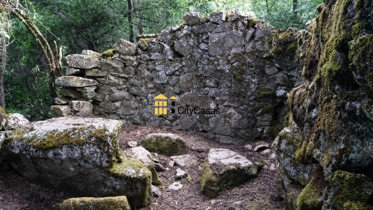 Quinta para Venda em Tinhela e Alvarelhos Foto 6