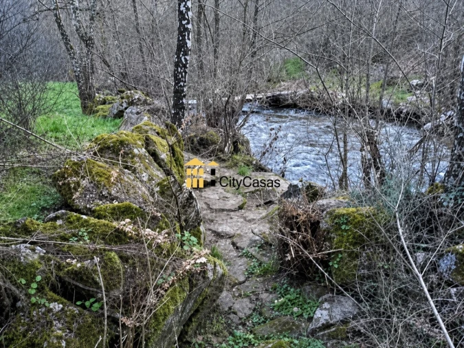 Quinta para Venda em Tinhela e Alvarelhos Foto 2