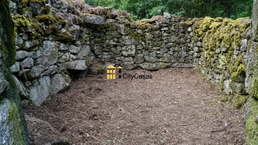 Quinta para Venda em Tinhela e Alvarelhos Foto 3