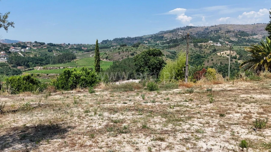Terreno para Venda em Soalhães