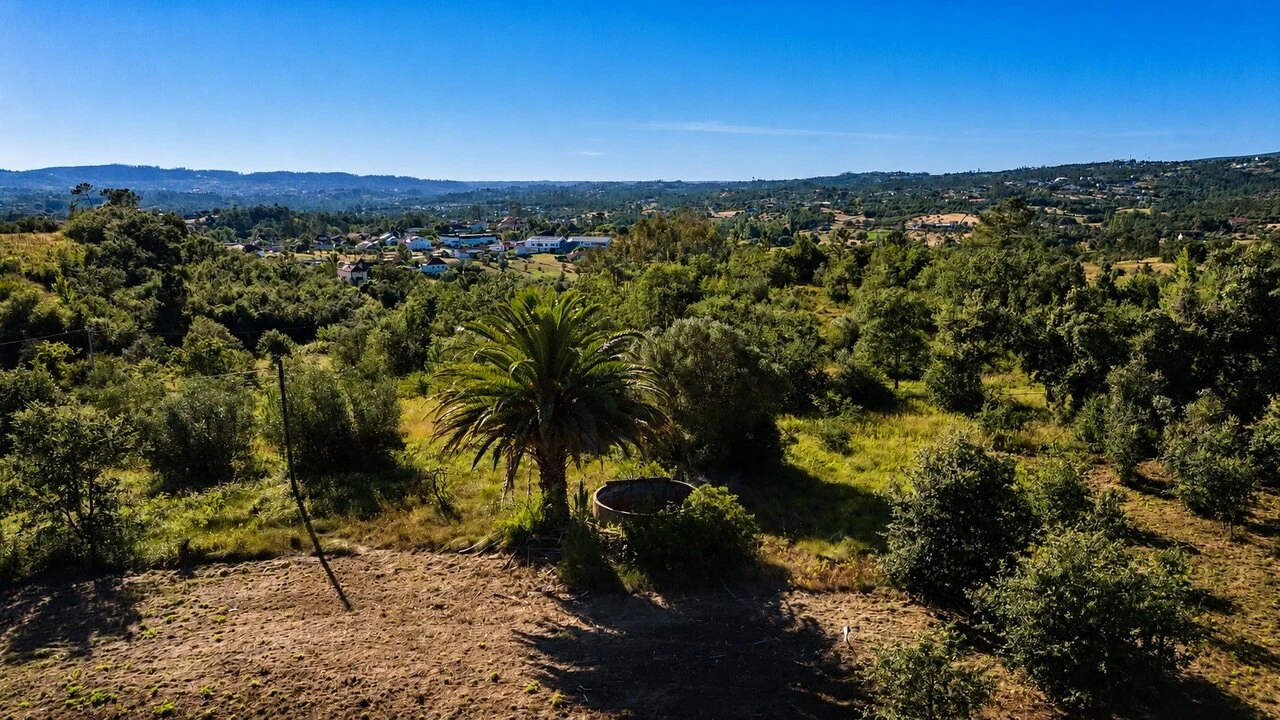 Terreno para Venda em Vila Cã Foto 1