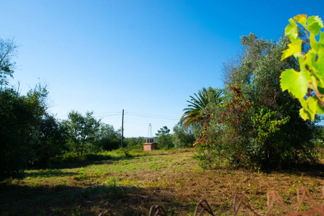 Terreno para Venda em Vila Cã Foto 2