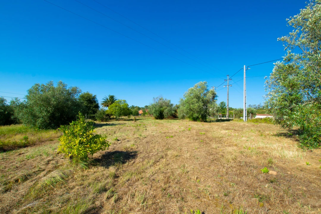 Terreno para Venda em Vila Cã Foto 3