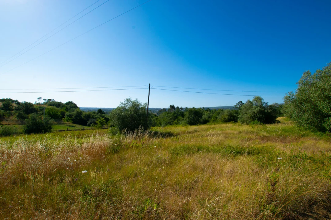 Terreno para Venda em Vila Cã Foto 4
