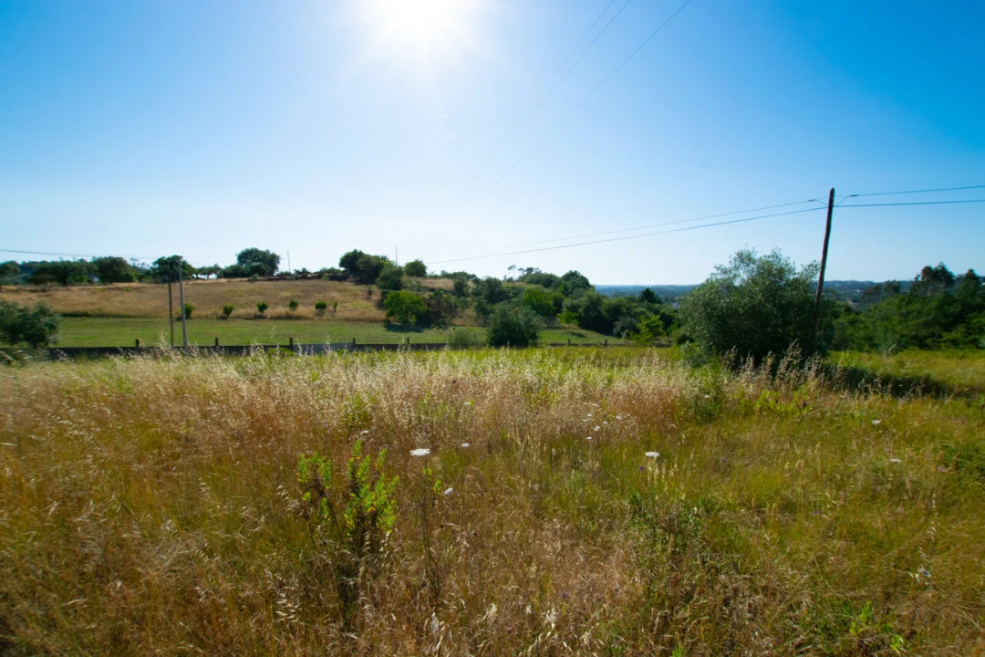 Terreno para Venda em Vila Cã Foto 5