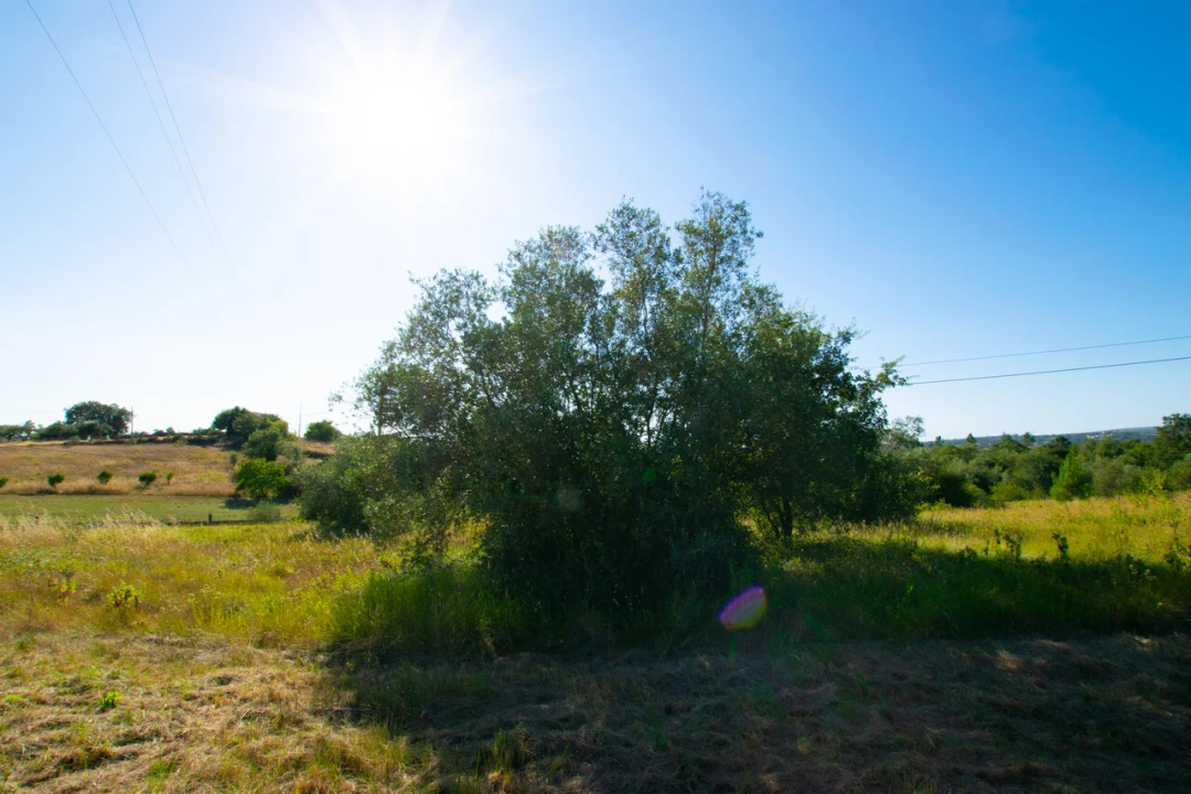 Terreno para Venda em Vila Cã Foto 6