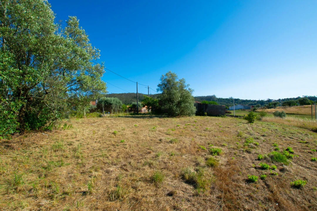 Terreno para Venda em Vila Cã Foto 8