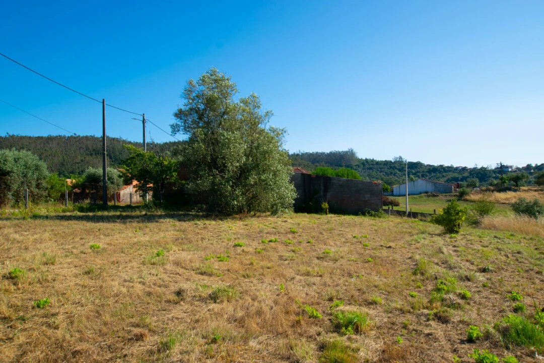 Terreno para Venda em Vila Cã Foto 9