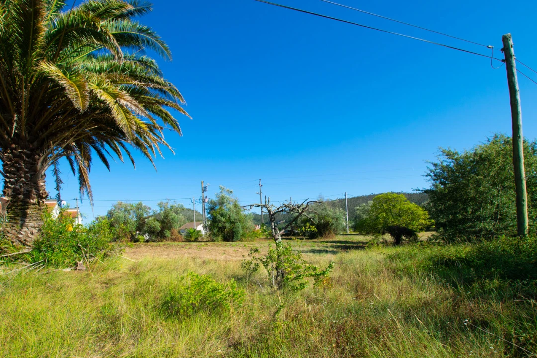 Terreno para Venda em Vila Cã Foto 16