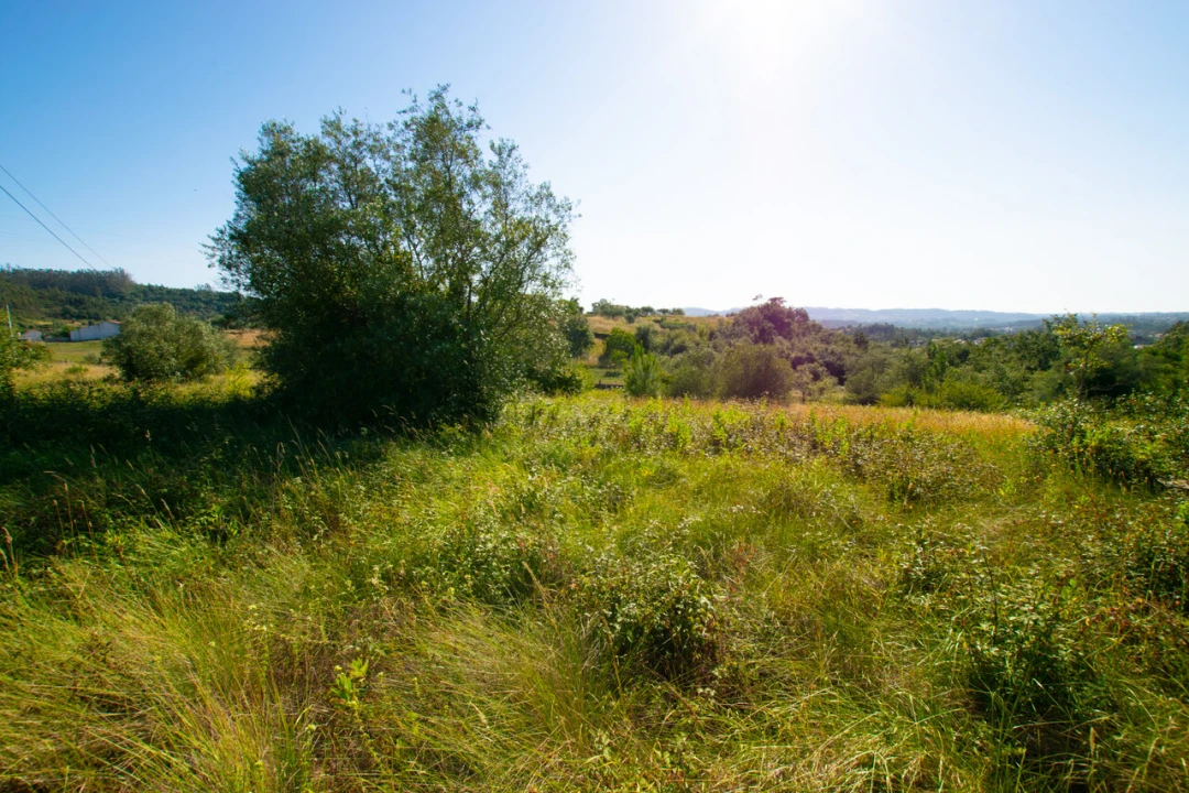 Terreno para Venda em Vila Cã Foto 17