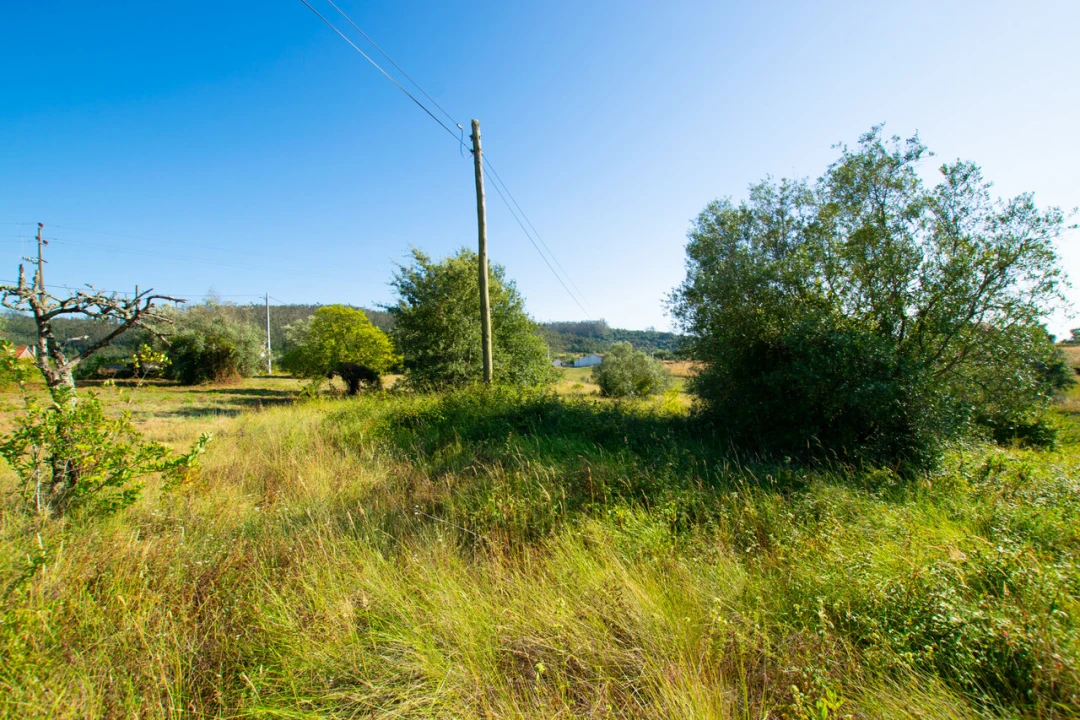 Terreno para Venda em Vila Cã Foto 18