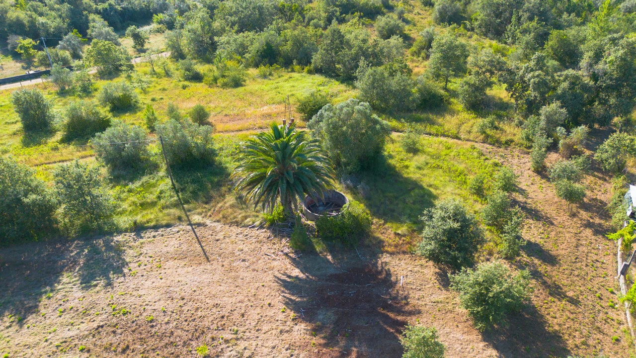 Terreno para Venda em Vila Cã Foto 19