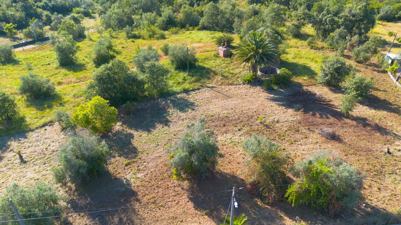 Terreno para Venda em Vila Cã Foto 21