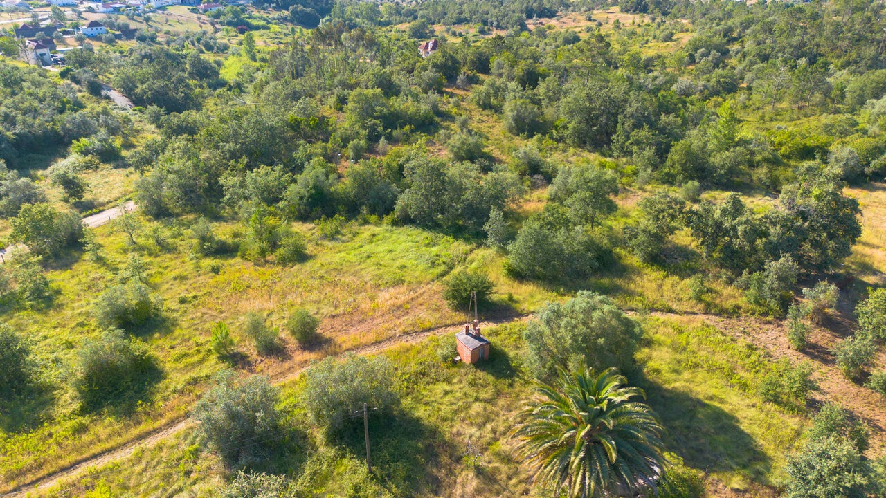 Terreno para Venda em Vila Cã Foto 22