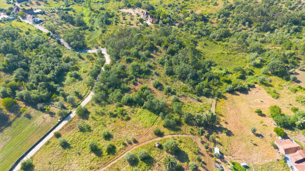 Terreno para Venda em Vila Cã Foto 23