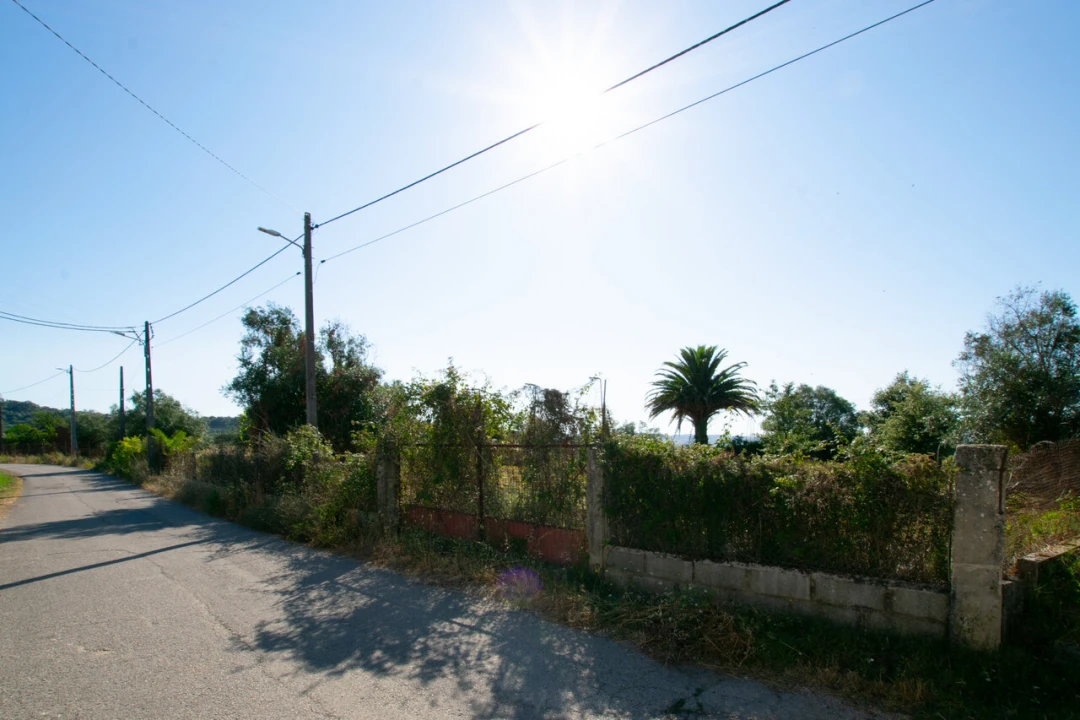 Terreno para Venda em Vila Cã Foto 27