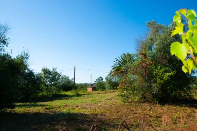 Terreno para Venda em Vila Cã