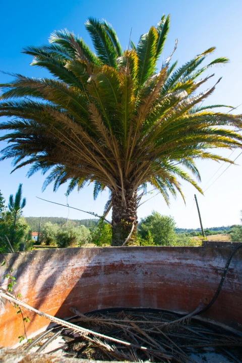 Terreno para Venda em Vila Cã