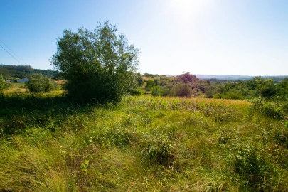 Terreno para Venda em Vila Cã
