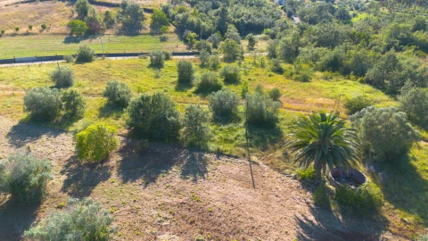 Terreno para Venda em Vila Cã