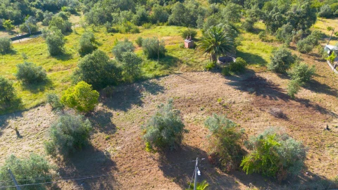 Terreno para Venda em Vila Cã