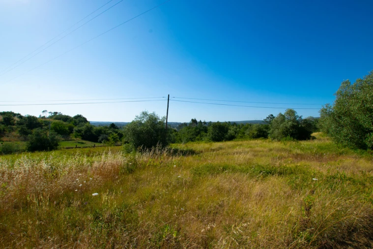 Terreno para Venda em Vila Cã Foto 4