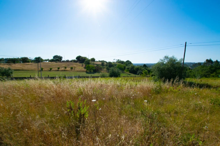 Terreno para Venda em Vila Cã Foto 5
