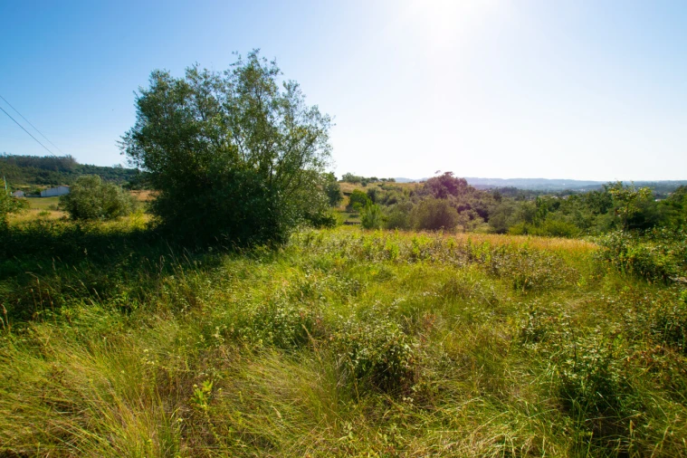 Terreno para Venda em Vila Cã Foto 17