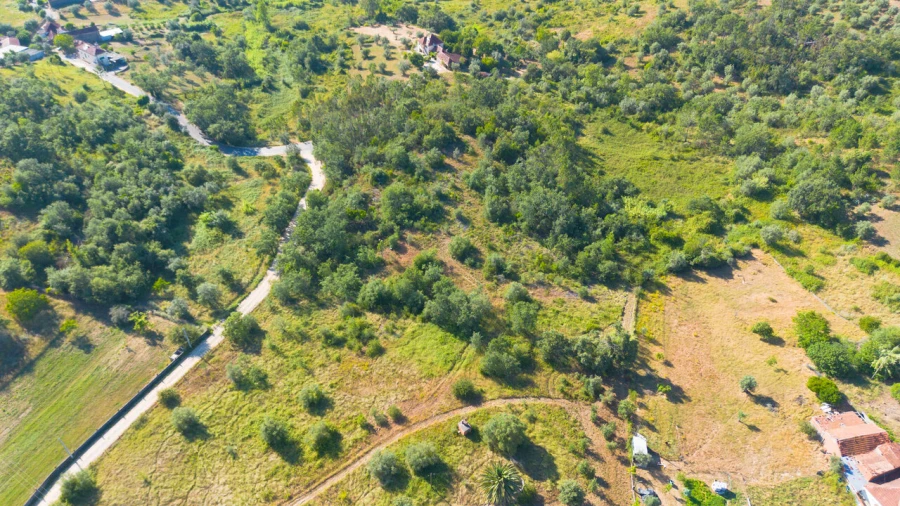 Terreno para Venda em Vila Cã Foto 23