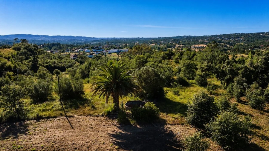 Terreno para Venda em Vila Cã