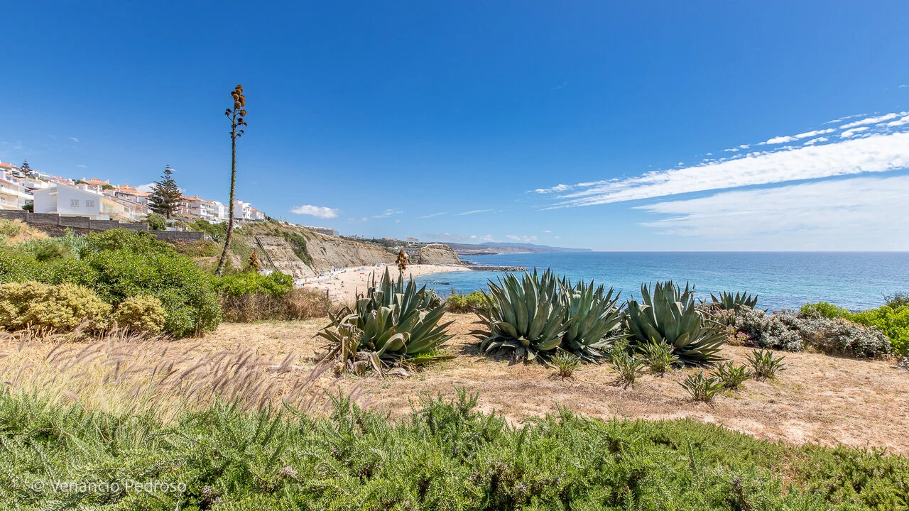 Apartamento T2 para Venda em Ericeira Foto 7