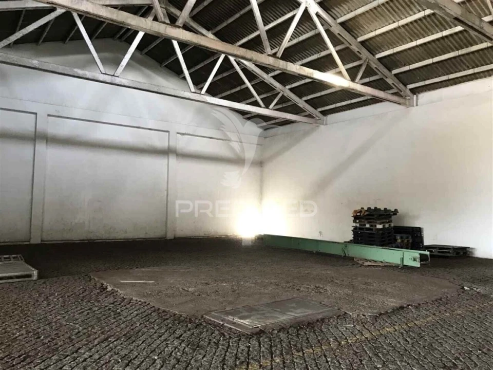 Armazém para Venda em São Paio de Oleiros Foto 9