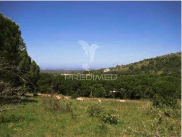 Moradia T5 para Venda em Santiago do Cacém, Santa Cruz e São Bartolomeu da Serra