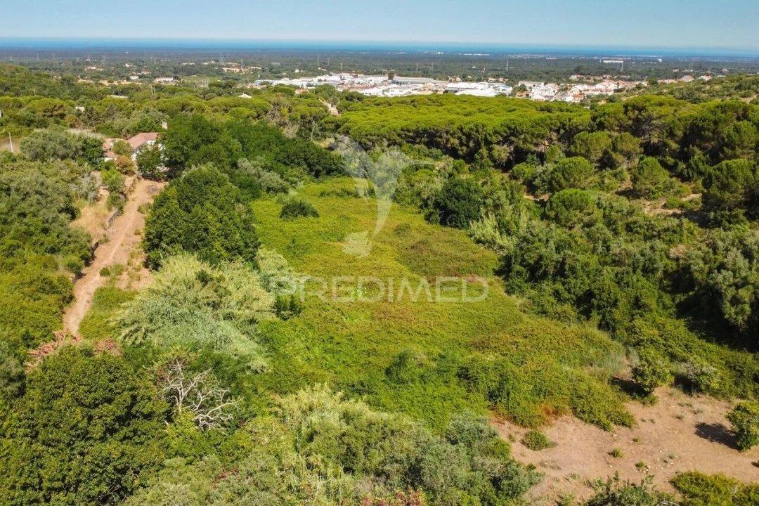 Moradia T5 para Venda em Santiago do Cacém, Santa Cruz e São Bartolomeu da Serra Foto 40