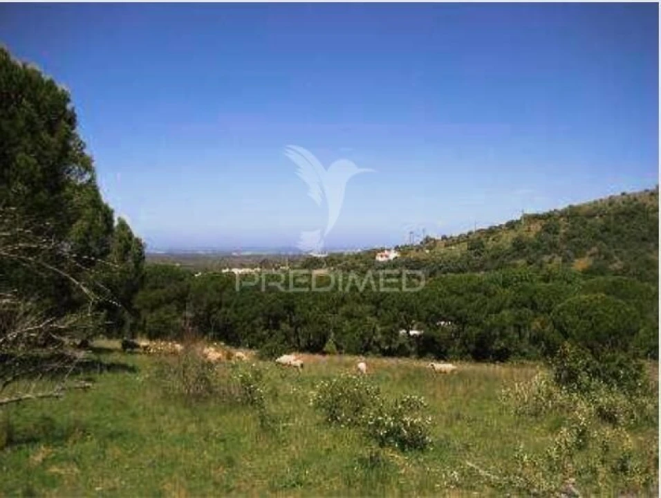 Moradia T5 para Venda em Santiago do Cacém, Santa Cruz e São Bartolomeu da Serra Foto 39