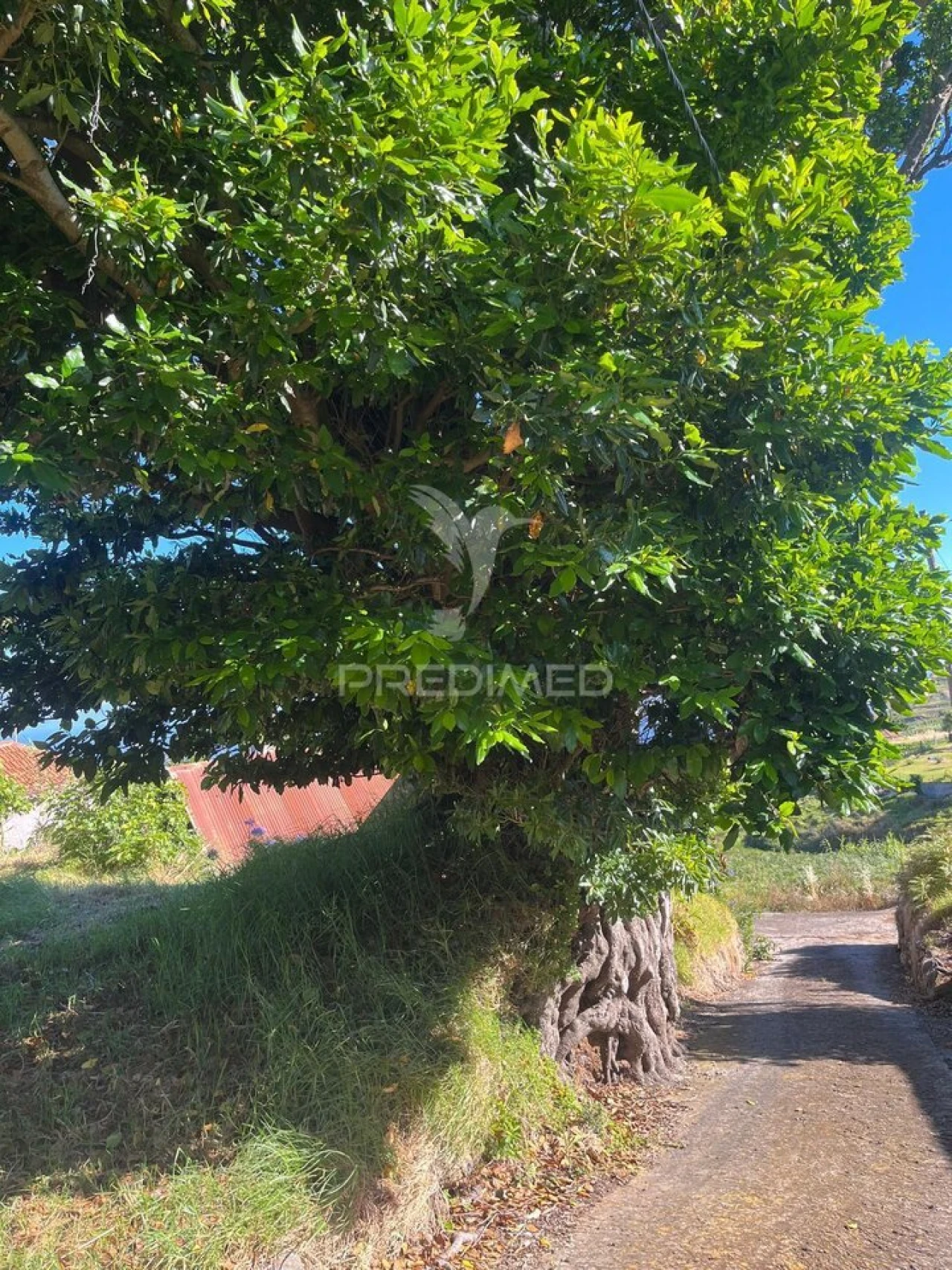 Moradia T3 para Venda em Ponta do Pargo Foto 10